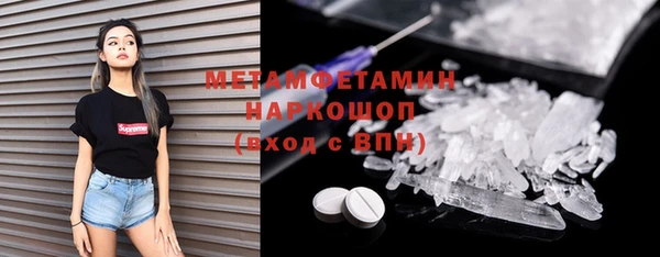 прущие грибы Богородицк