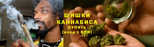 прущие грибы Богородск