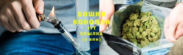 прущие грибы Богородицк
