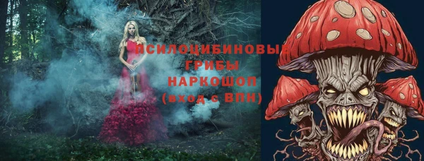 прущие грибы Богородск