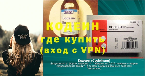 прущие грибы Богородицк