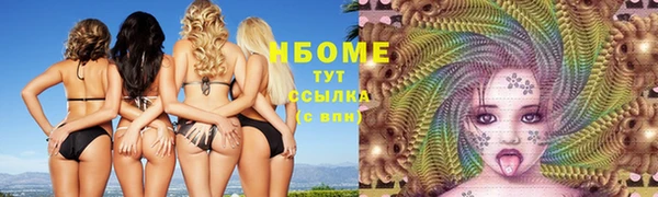 прущие грибы Богородицк