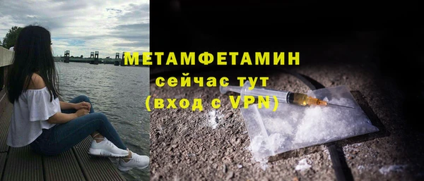 прущие грибы Богородск